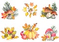 Autumn bouquets with colorful leaves, pumpkin, apples, boletus mushrooms, pine cone, acorns, rosehip and fly agaric mushrooms.