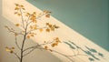 Autumn branch with golden leaves casting shadows on a textured wall Royalty Free Stock Photo