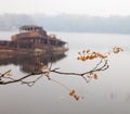 Autumn branch and old sunken ship