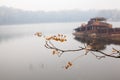 Autumn branch and old sunken ship