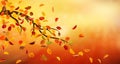 Autumn branch Royalty Free Stock Photo