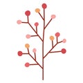 autumn branch tree Royalty Free Stock Photo