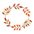 Autumn branches of different trees in the form of a circle colorful illustration Royalty Free Stock Photo