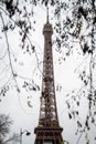 Autumn branches on the Eiffel Tower in Paris in the rain