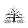 Autumn branchy lonely tree with fallen leaves on the ground, black and white autumn leaf fall creative illustration in minimal