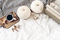 Autumn breakfast composition. Cup of coffee on wooden tray, white pumpkins, plaid, oak leaves and old books in golden Royalty Free Stock Photo