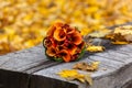 Autumn, bridal bouquet, autumn bouquet, wedding, wedding in the Royalty Free Stock Photo