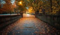 Autumn bridge