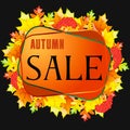 autumn bright bacground to store sale, postcard, invitation to school, party Royalty Free Stock Photo