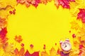 Autumn bright background frame. Yellow-red autumn maple leaves and pink alarm clock on a yellow background, top view Royalty Free Stock Photo