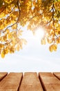 Autumn bright sunny background. The surface of the wooden table on a background of yellow leaves in the autumn forest