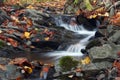 Autumn brook Royalty Free Stock Photo