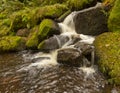 Autumn Brook Royalty Free Stock Photo