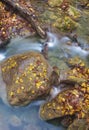 Autumn brook with leaves on the stones