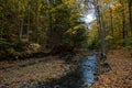 Autumn Brook in Whetstone Gulf State Park Royalty Free Stock Photo