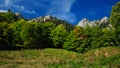 Autumn in Buila Massif Royalty Free Stock Photo