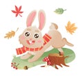 Autumn bunny character. Cute cartoon rabbit runnung in autumn forest. Autumn leaves, mushrooms, acorns, fly agaric.