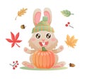 Autumn bunny character. Cute cartoon rabbit sitting in autumn forest. Autumn leaves, pumpkin, acorns.