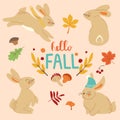 Autumn bunny trendy set. Set of cute rabbits or hares in hat and scarf. Hello fall comcept. Different leaves, mushrooms