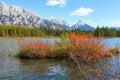 Autumn bush in the lower Kananaskis lake in Alberta,Canada Royalty Free Stock Photo