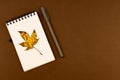 Autumn busines concept - blank ring-bound notebook with golden maple leaf and pen on brown background with copy space Royalty Free Stock Photo