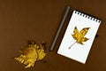 Autumn busines concept - blank ring-bound notebook with golden maple leaf and pen on brown background with copy space Royalty Free Stock Photo