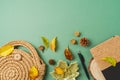 Autumn business concept. Boho home office desk with planner, bag and autumn leaves on green background. Top view, flat lay Royalty Free Stock Photo
