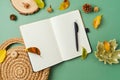 Autumn business concept. Home office desk with planner, bag and autumn leaves on green background. Top view, flat lay Royalty Free Stock Photo