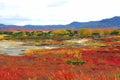 Autumn caldera of Uzon volcano. Kamchatka, Russia