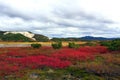 Autumn caldera of Uzon volcano. Kamchatka, Russia