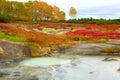 Autumn caldera of Uzon volcano. Kamchatka, Russia