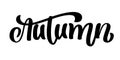 Autumn Calligraphic Lettering. Hand written lettering quote, fashion graphics, art print for posters and greeting cards