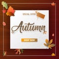 Autumn calligraphy sale background layout decorate with leaves for shopping sale or promo poster and frame leaflet or web banner. Royalty Free Stock Photo