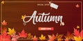 Autumn calligraphy sale background layout decorate with leaves for shopping sale or promo poster and frame leaflet or web banner. Royalty Free Stock Photo