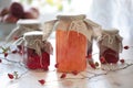 Autumn canning Royalty Free Stock Photo