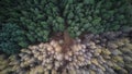 Autumn canopy: aerial journey over a fall forest 4 k drone experience