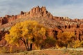 Autumn at the Capitol Reef Royalty Free Stock Photo