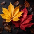 autumn with this captivating image of a leaf adorned with raindrops, embodying the essence of the season. Royalty Free Stock Photo