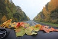 Autumn in the car