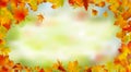 Autumn card of bright multicolor leaves.