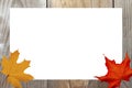 Autumn card concept. Natural wooden background, white sheet of paper with autumn leaves Royalty Free Stock Photo
