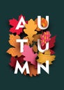 Autumn card with different plant elements on dark background.