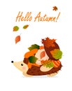 Autumn card with hedgehog, leaves and mushrooms. Vector illustration with text.