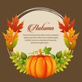 Autumn card leaves pumpkin Royalty Free Stock Photo