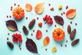 Autumn card with leaves, rowan berries, orange pumpkins, pine cones on pastel background, flat lay. Fall, thanksgiving concept. Royalty Free Stock Photo