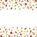 Autumn Card With Leaves And Text