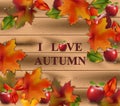 Autumn card leaves on wood background. Realistic Vector illustrations Royalty Free Stock Photo