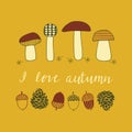 Autumn card with mushrooms, bumps and acorns.