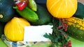 Autumn card with a text field. Still life with vegetables in close-up and a white leaf on the background. Pumpkin, zucchini, Royalty Free Stock Photo