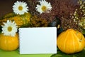 Autumn card with a text field. Still life with vegetables-pumpkin, zucchini, pepper, tomato, marigold and chamomile flowers are on Royalty Free Stock Photo